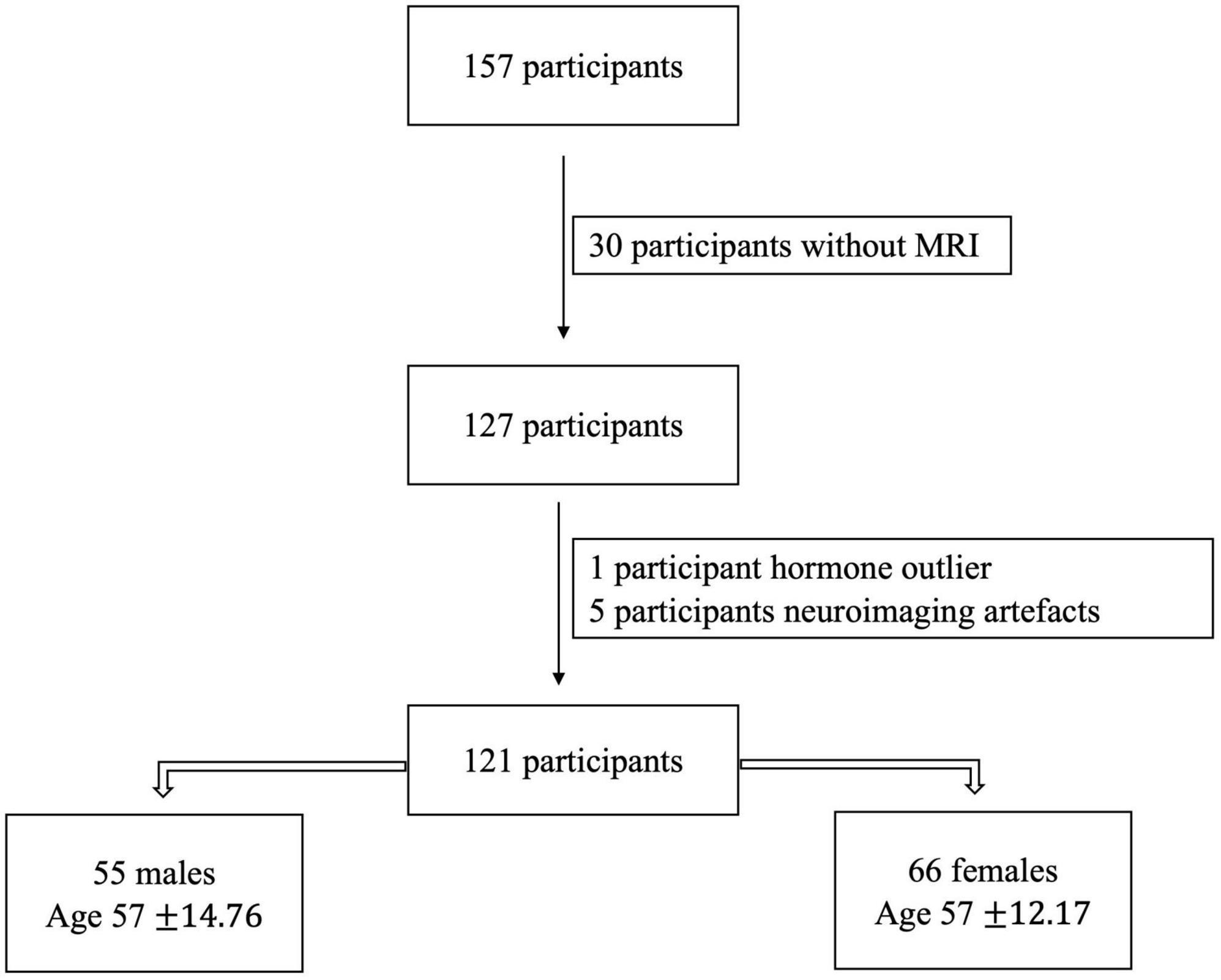 Network segregation in aging females and evaluation of the impact of sex steroid hormones
